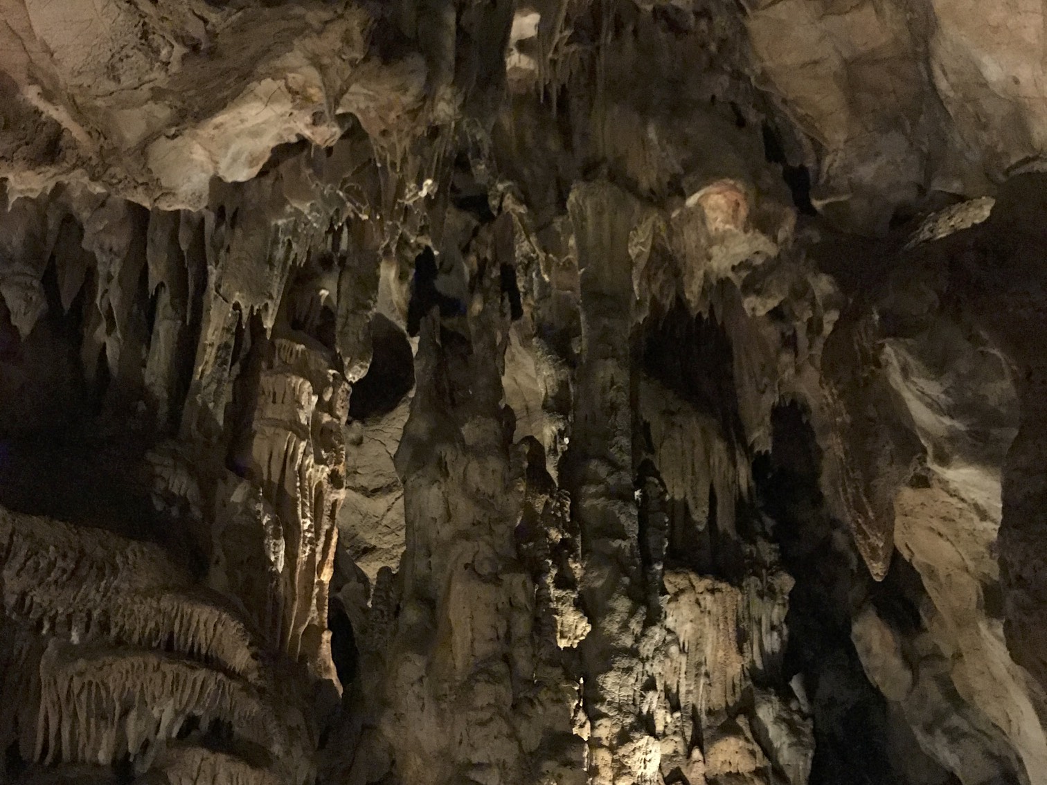 IMG_6804 - Version 2